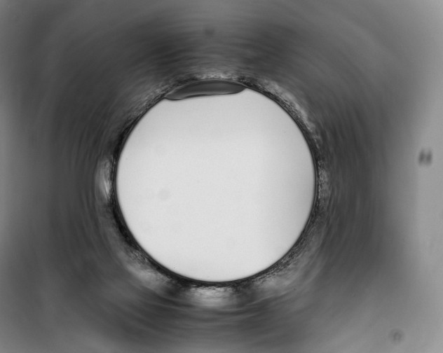 X0000099400069200806051217