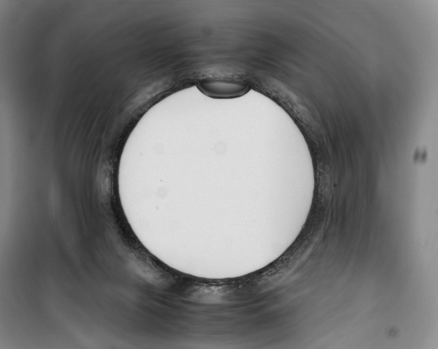 X0000099400071200806051217