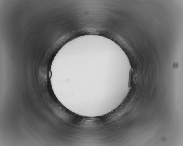 X0000099400072200806051217