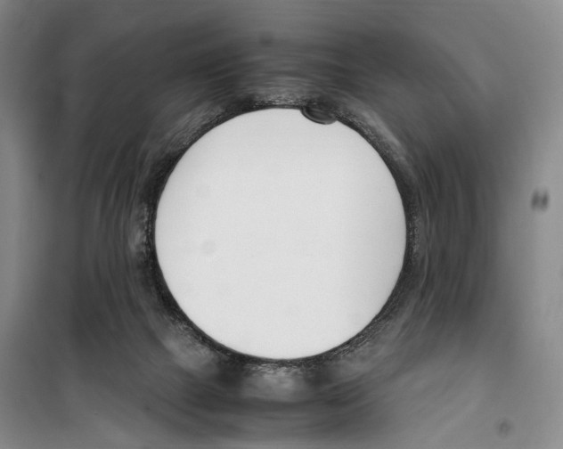 X0000099400073200806051217