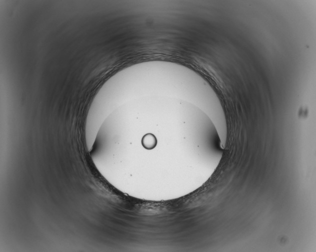 X0000099400077200806051217