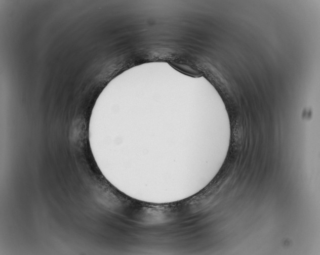 X0000099400079200806051217