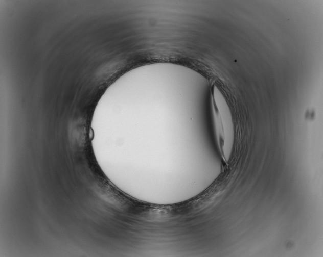 X0000099400080200806051217