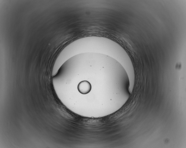 X0000099400081200806051217