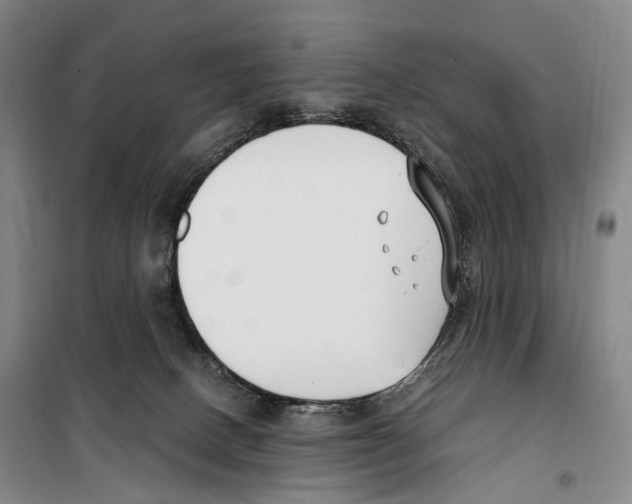 X0000099400082200806051217