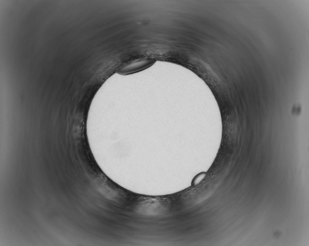 X0000099400083200806051217