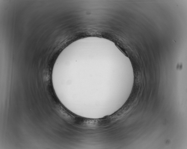X0000099400084200806051217
