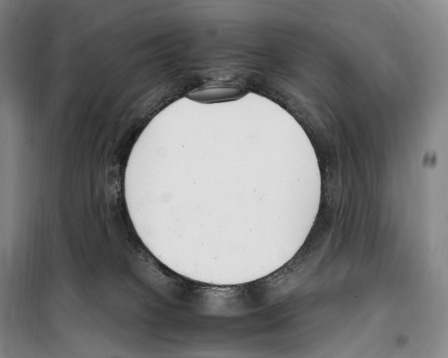 X0000099400085200806051217