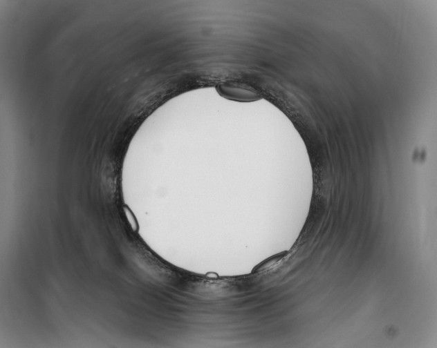 X0000099400086200806051217