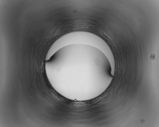 X0000099400087200806051217