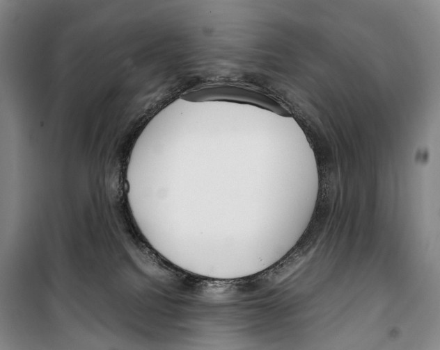 X0000099400088200806051217