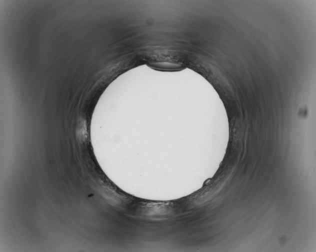 X0000099400089200806051217