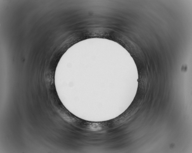 X0000099400091200806051217