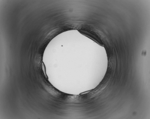 X0000099400092200806051217