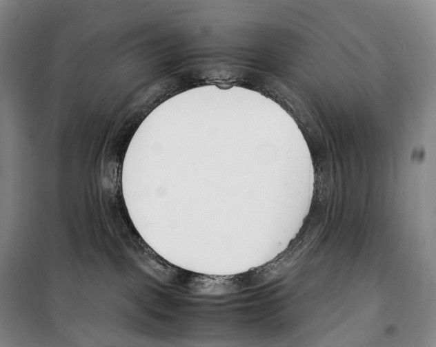 X0000099400093200806051217