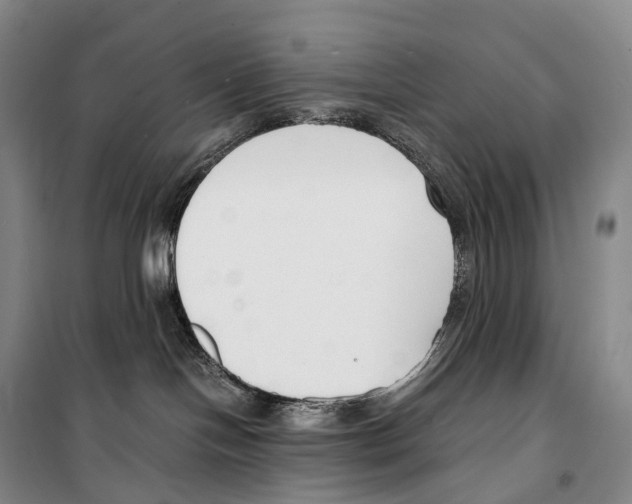 X0000099400094200806051217