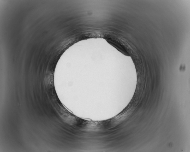 X0000099400096200806051217
