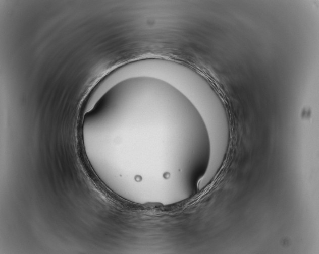 X0000099400098200806051217