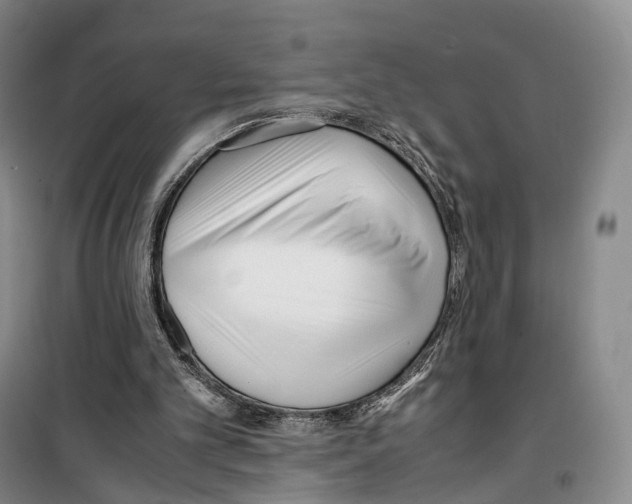 X0000099400101200806051217