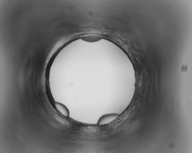 X0000099400102200806051217