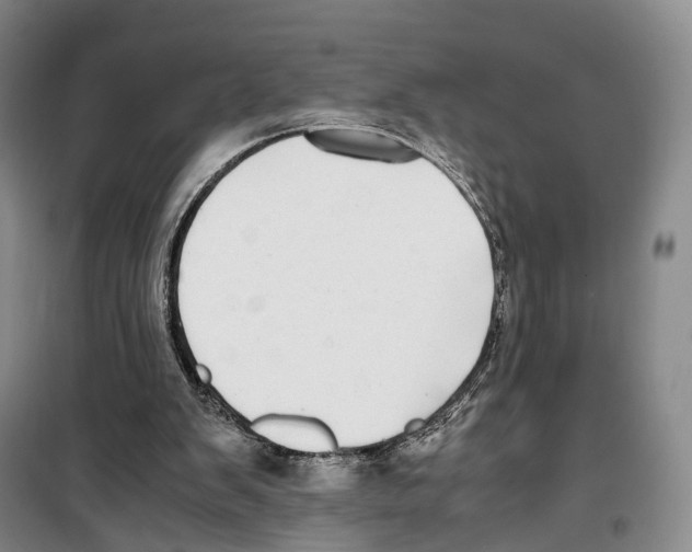 X0000099400103200806051217