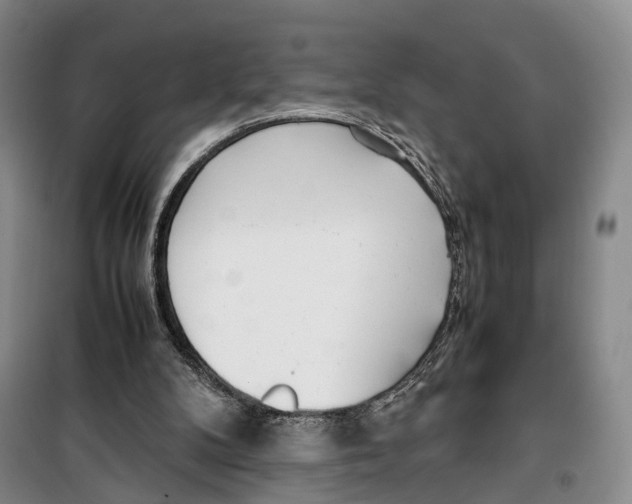 X0000099400104200806051217