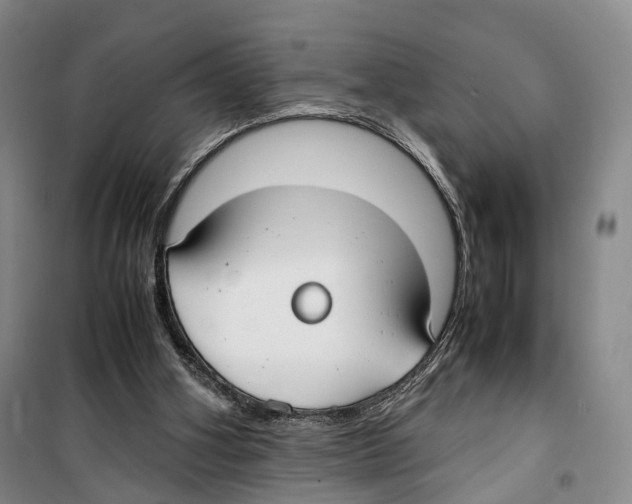 X0000099400106200806051217