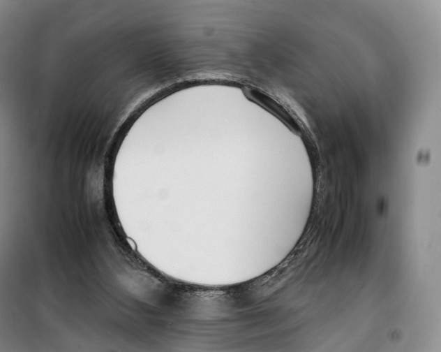 X0000099400108200806051217