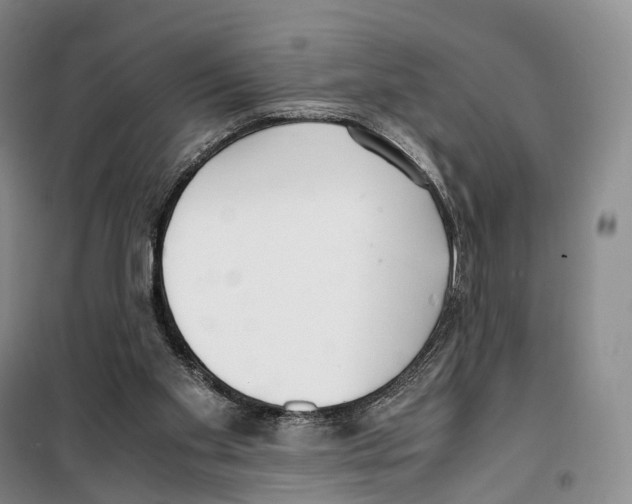 X0000099400109200806051216