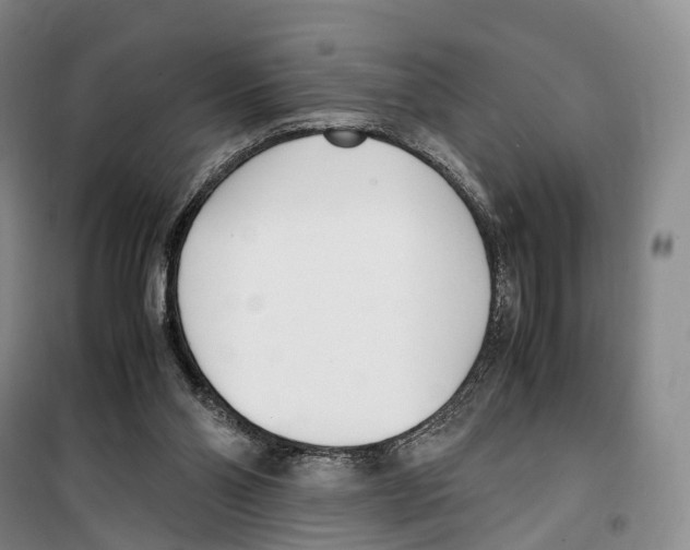 X0000099400110200806051216
