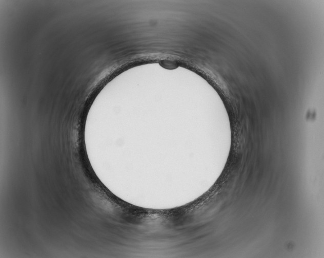 X0000099400111200806051216