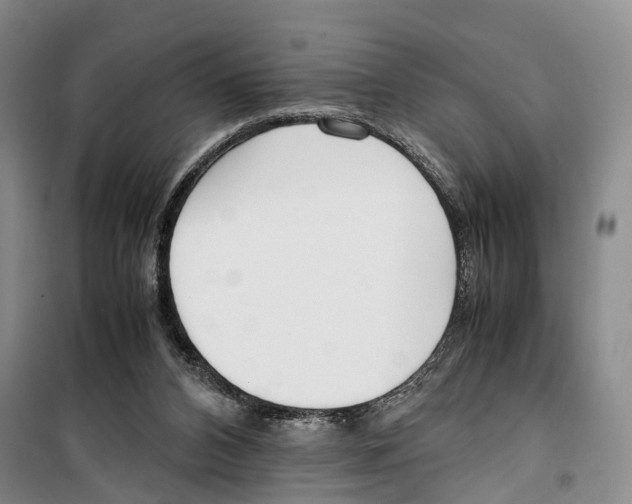 X0000099400112200806051216