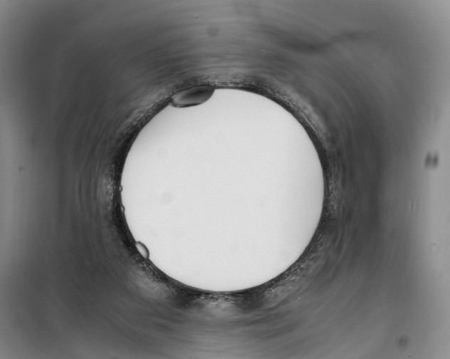 X0000099400113200806051216