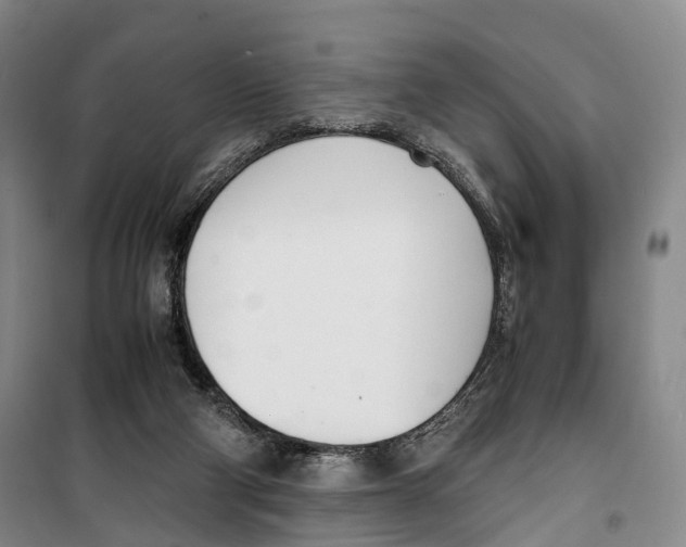 X0000099400114200806051216
