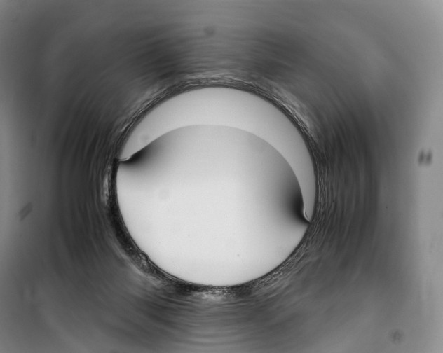 X0000099400118200806051216