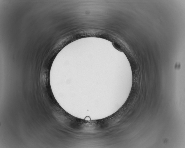 X0000099400119200806051216