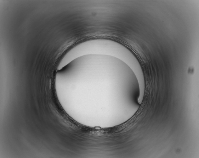 X0000099400120200806051216