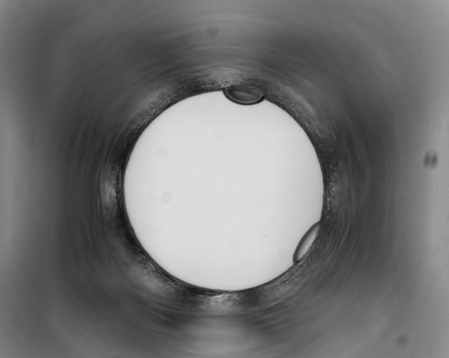X0000099400122200806051216
