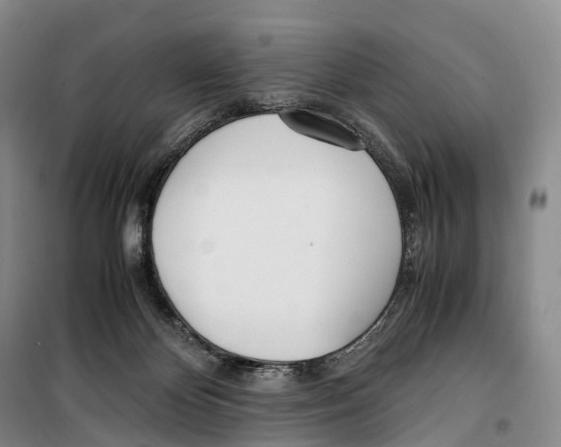 X0000099400124200806051216