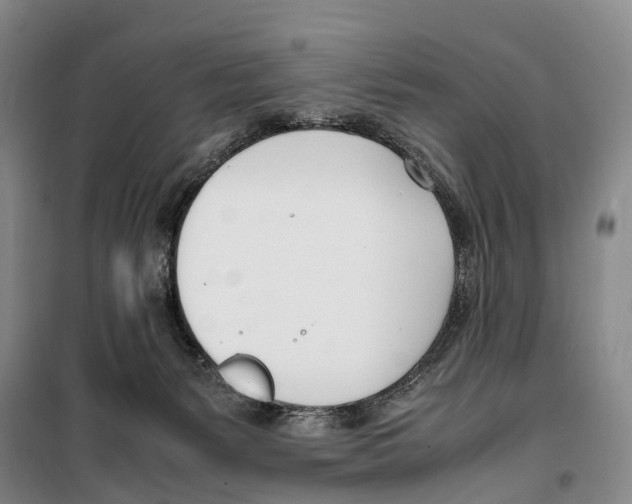X0000099400127200806051216