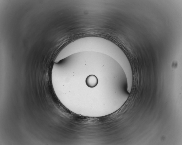 X0000099400128200806051216