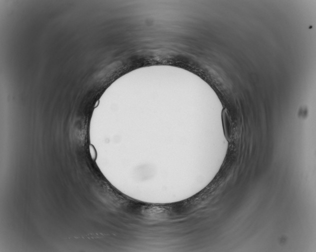 X0000099400129200806051216