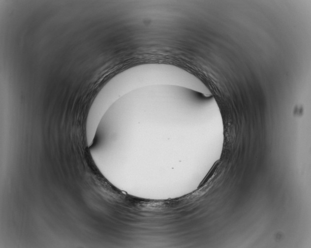 X0000099400132200806051216