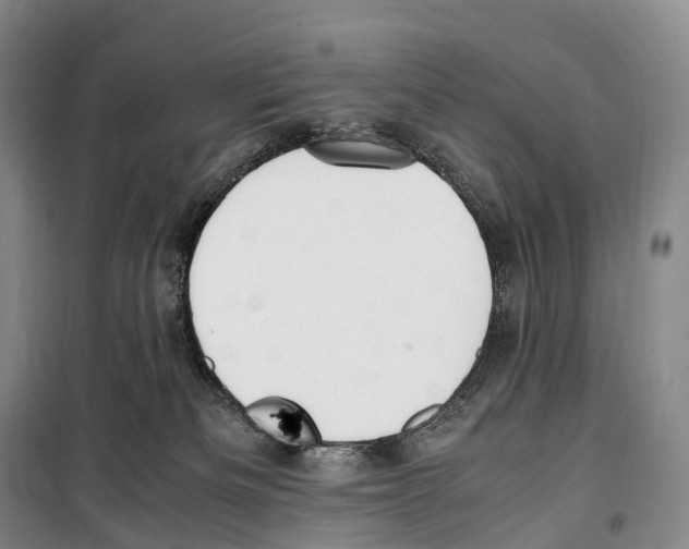 X0000099400133200806051216