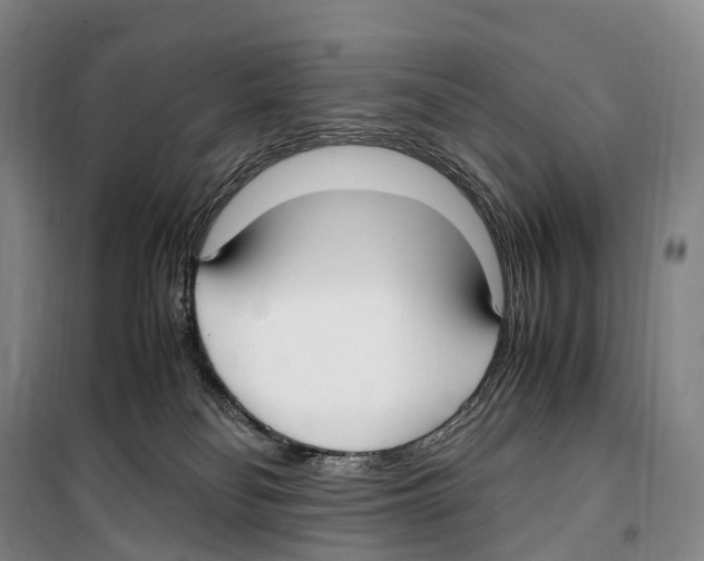 X0000099400134200806051216