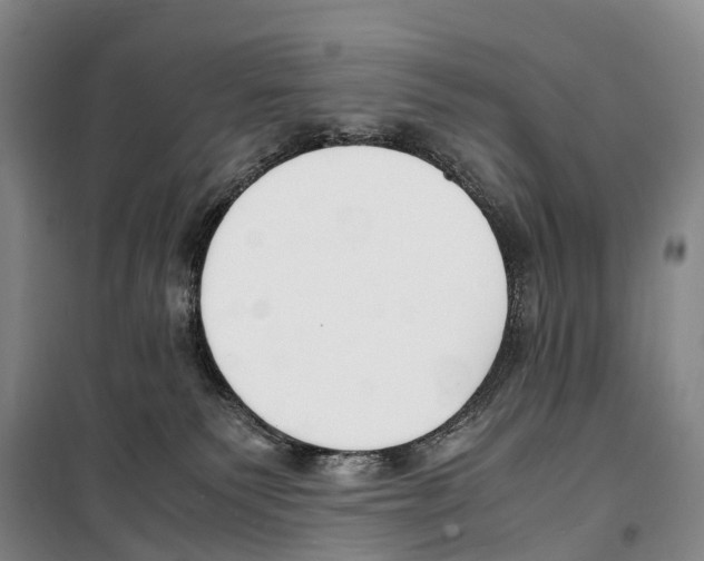X0000099400135200806051216