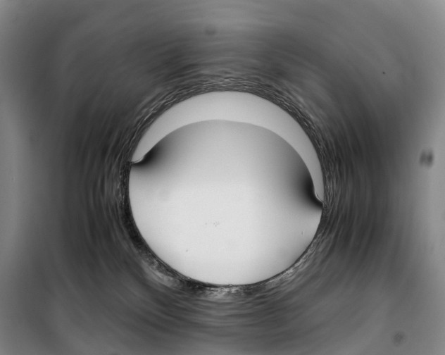 X0000099400136200806051216