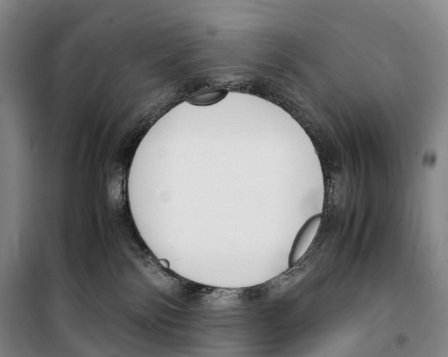 X0000099400138200806051216