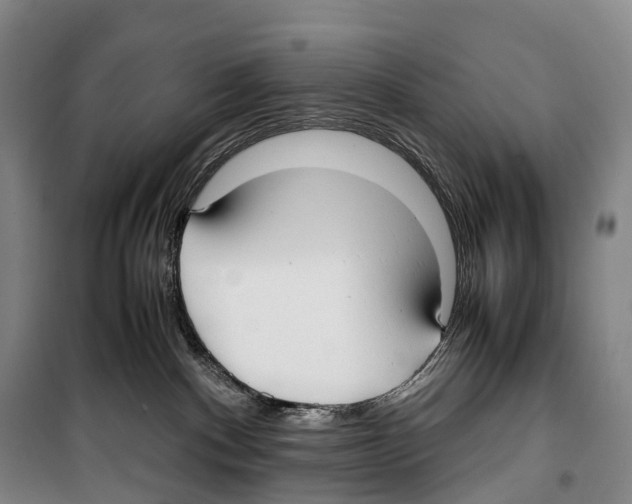 X0000099400140200806051216