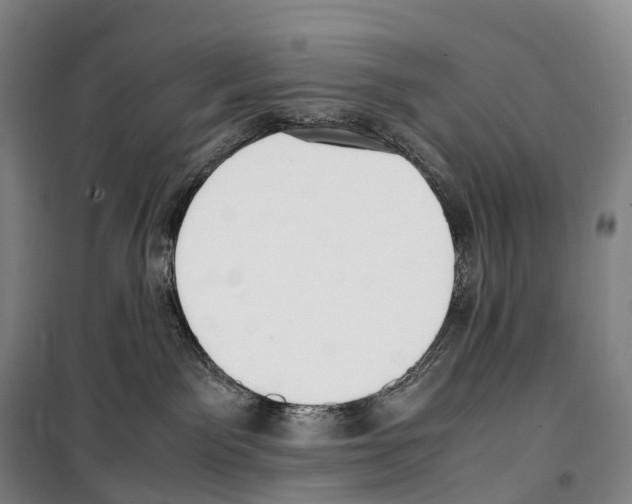 X0000099400141200806051216